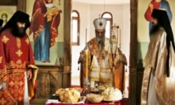 FormatFactoryIMG_4461