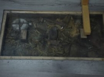 FormatFactoryDSC_0573