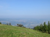 FormatFactoryDSC_0696