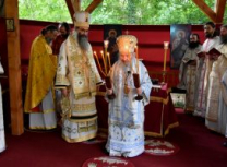 FormatFactoryDSC_0215