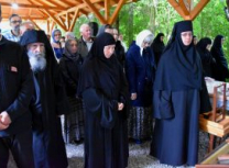 FormatFactoryDSC_0234