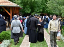 FormatFactoryDSC_0476