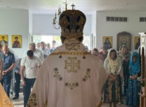 кол (15)