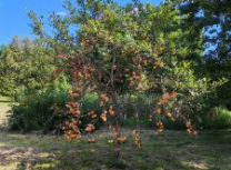 IMG_20260831_131910